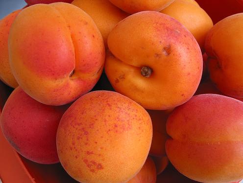 http://www.methodsofhealing.com/files/2008/12/apricots.jpg